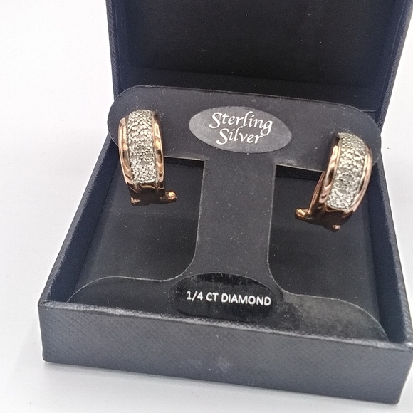 1/4ct Diamond J-Hoop Earrings in  Rose Gold main image 0